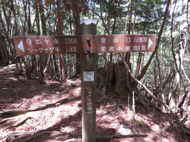 大台ヶ原〜大杉谷