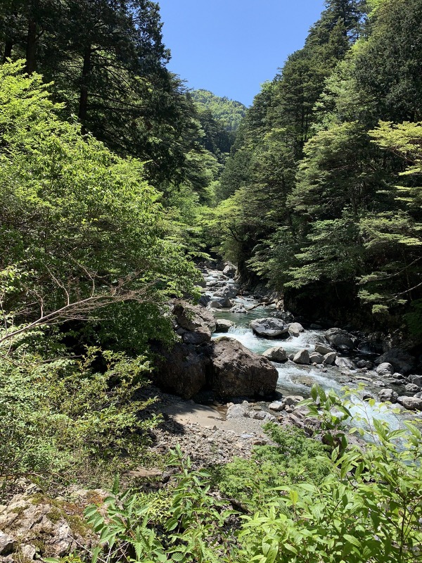 大台ヶ原〜大杉谷