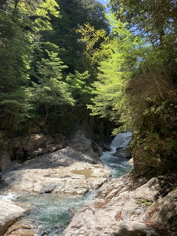 大台ヶ原〜大杉谷