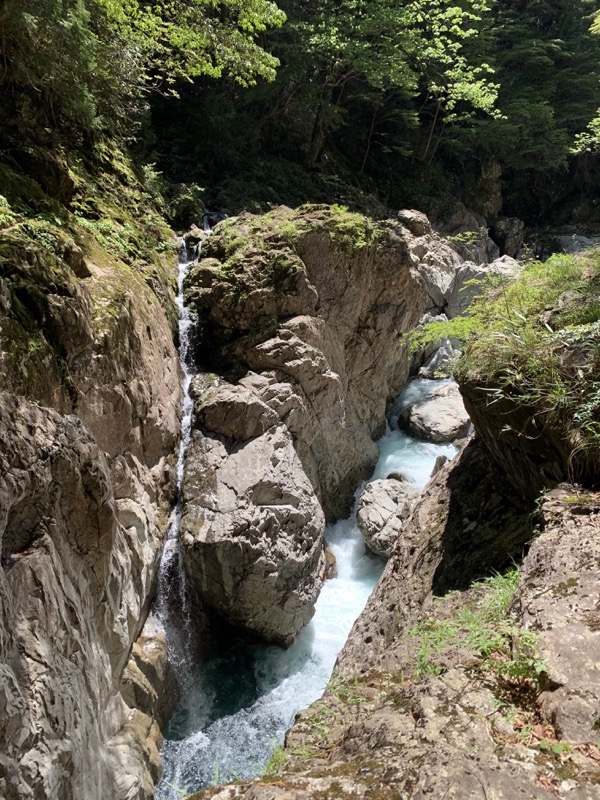 大台ヶ原〜大杉谷