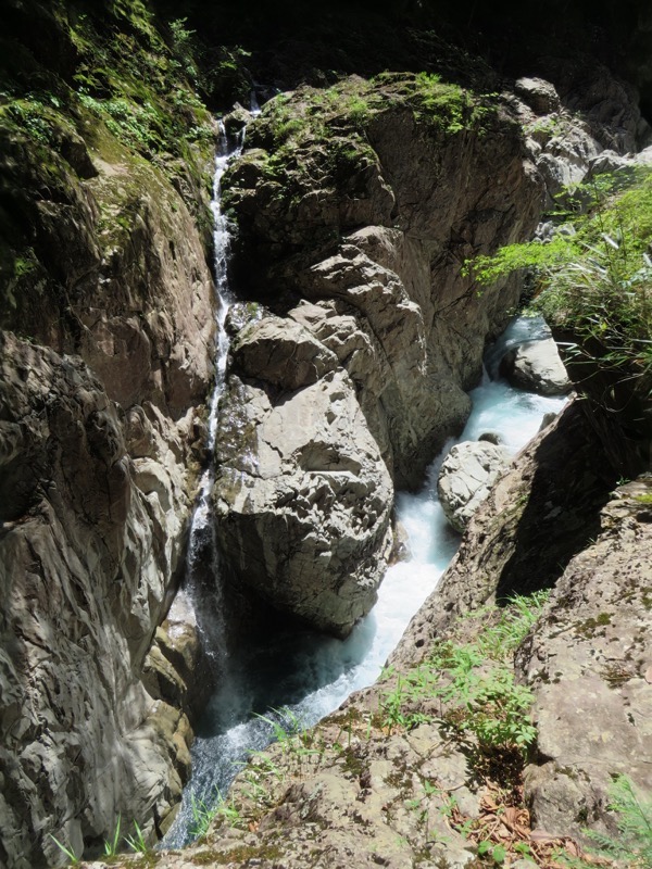 大台ヶ原〜大杉谷