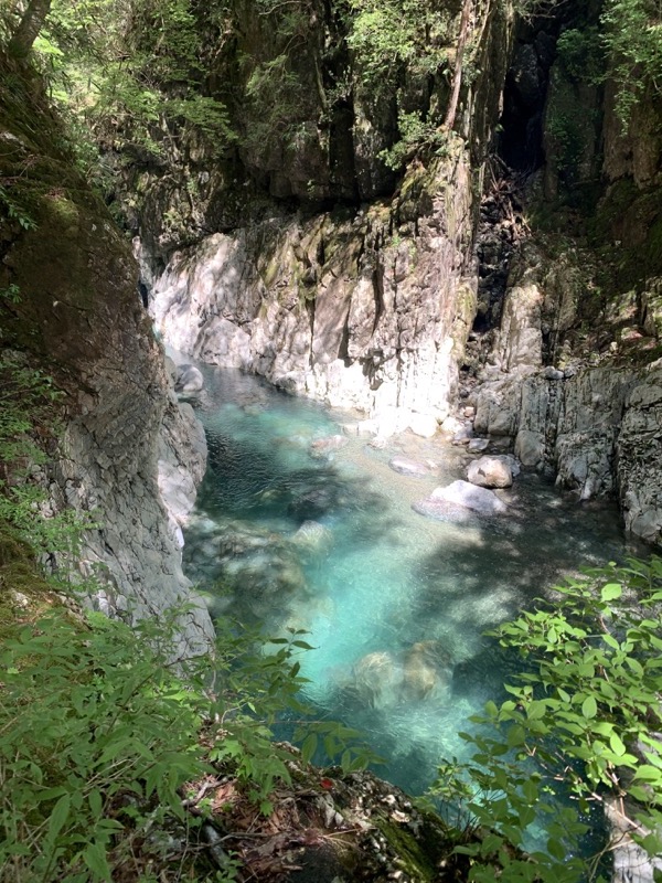 大台ヶ原〜大杉谷