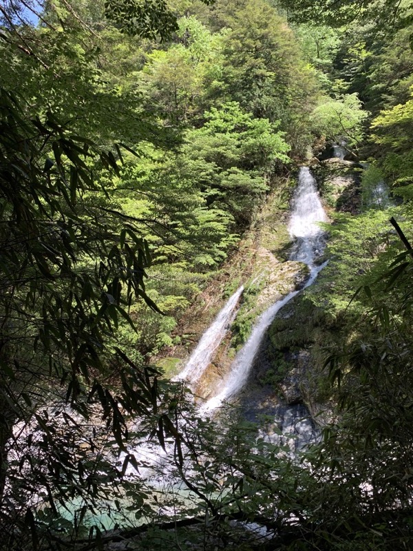 大台ヶ原〜大杉谷