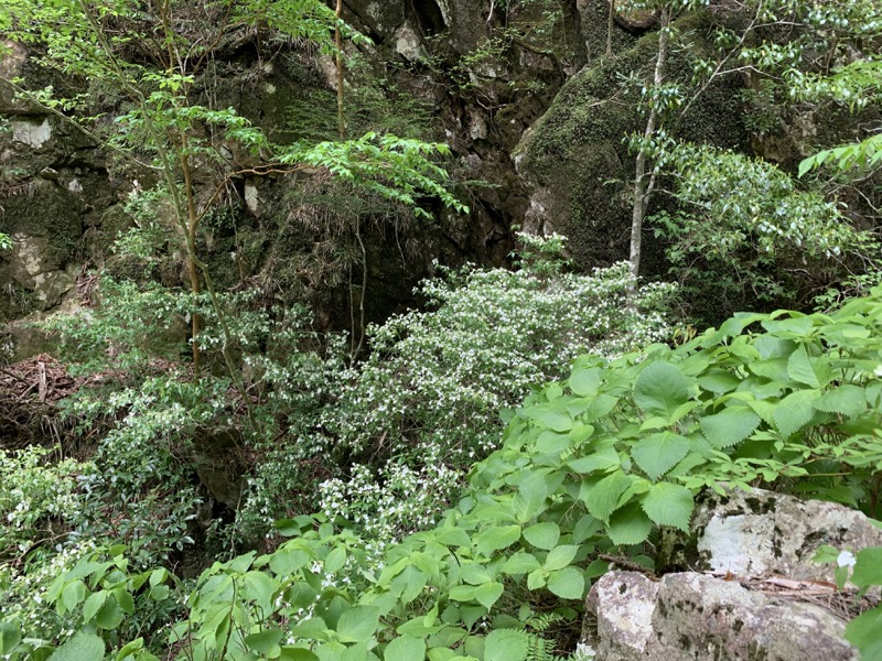 大台ヶ原〜大杉谷