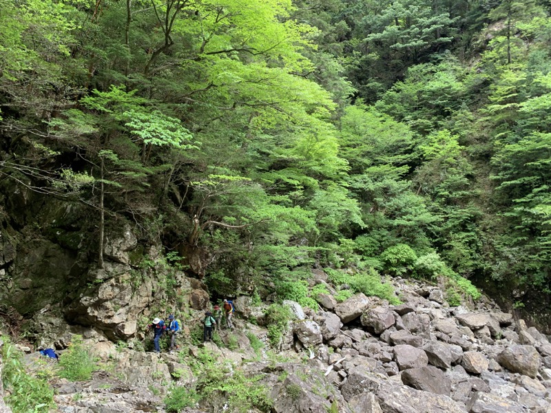 大台ヶ原〜大杉谷