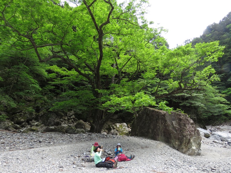 大台ヶ原〜大杉谷