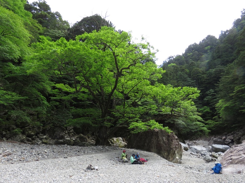 大台ヶ原〜大杉谷