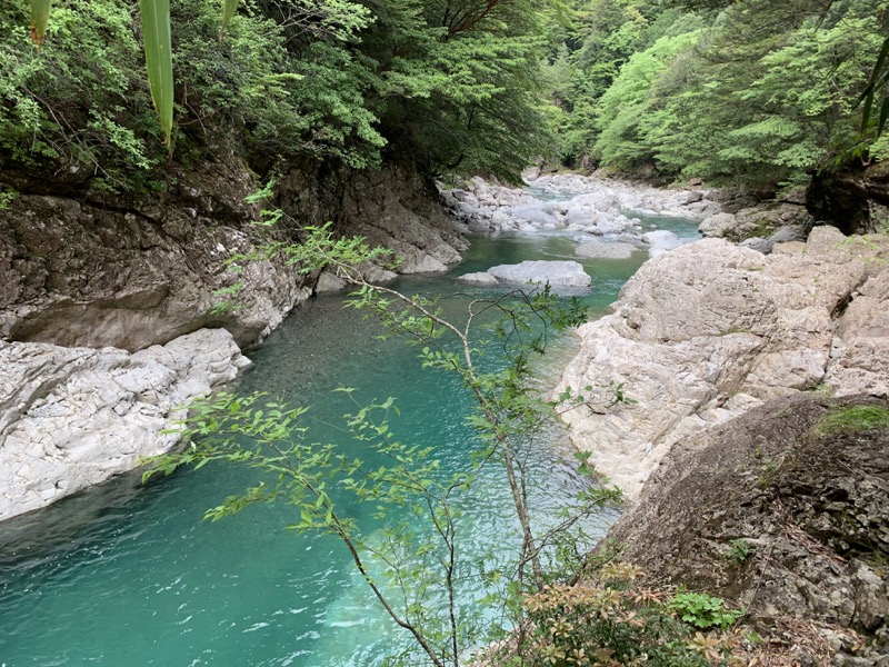 大台ヶ原〜大杉谷