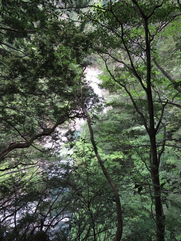 大台ヶ原〜大杉谷