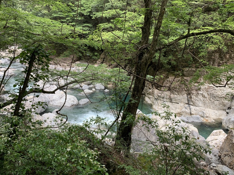 大台ヶ原〜大杉谷