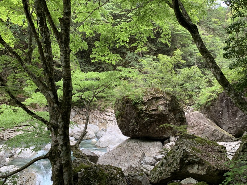 大台ヶ原〜大杉谷