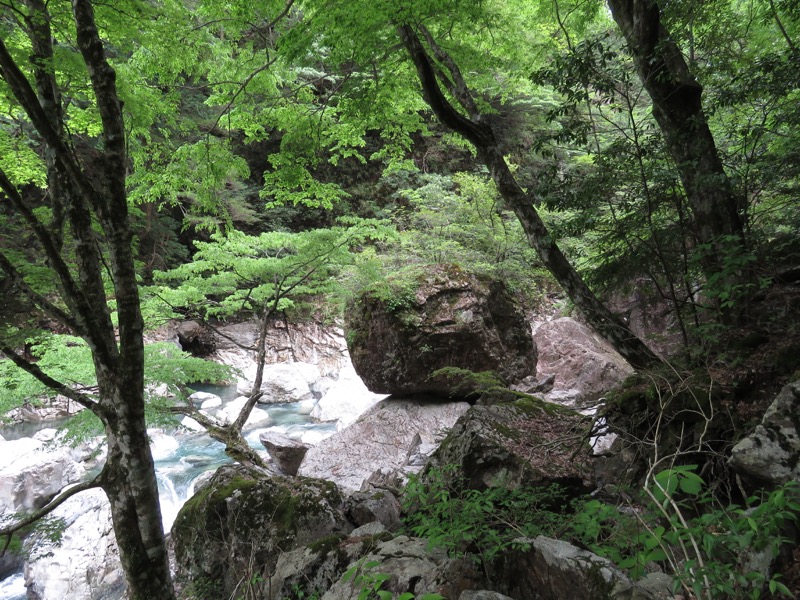 大台ヶ原〜大杉谷