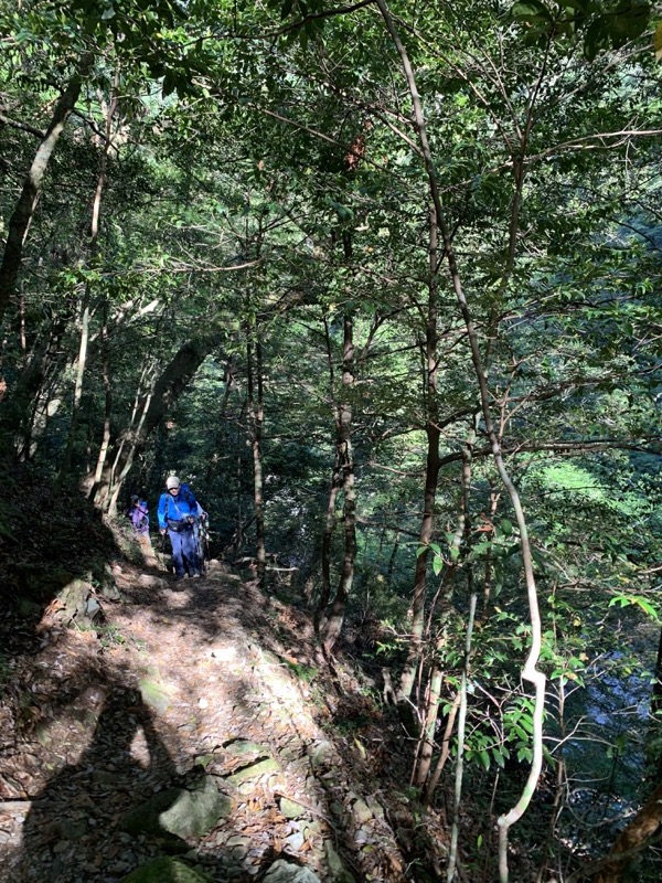 大台ヶ原〜大杉谷