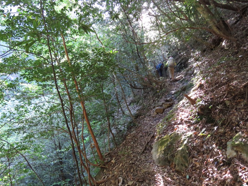 大台ヶ原〜大杉谷