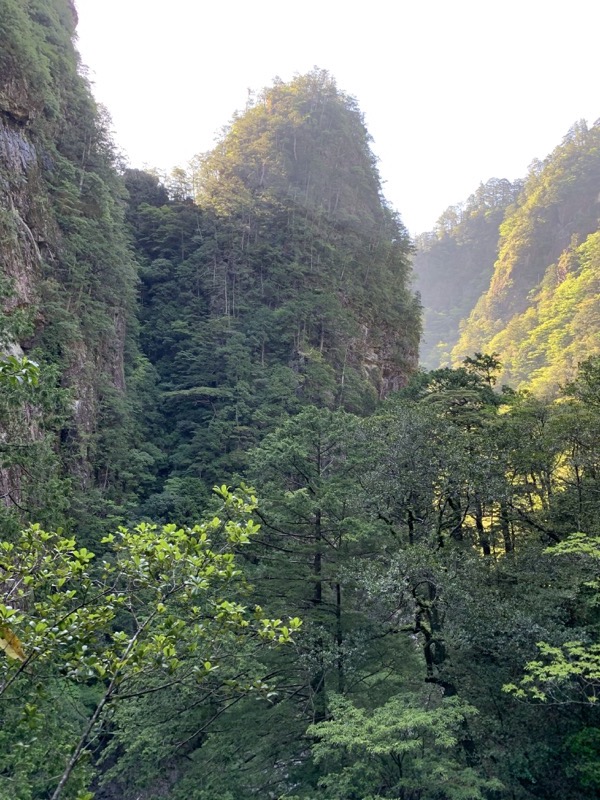 大台ヶ原〜大杉谷