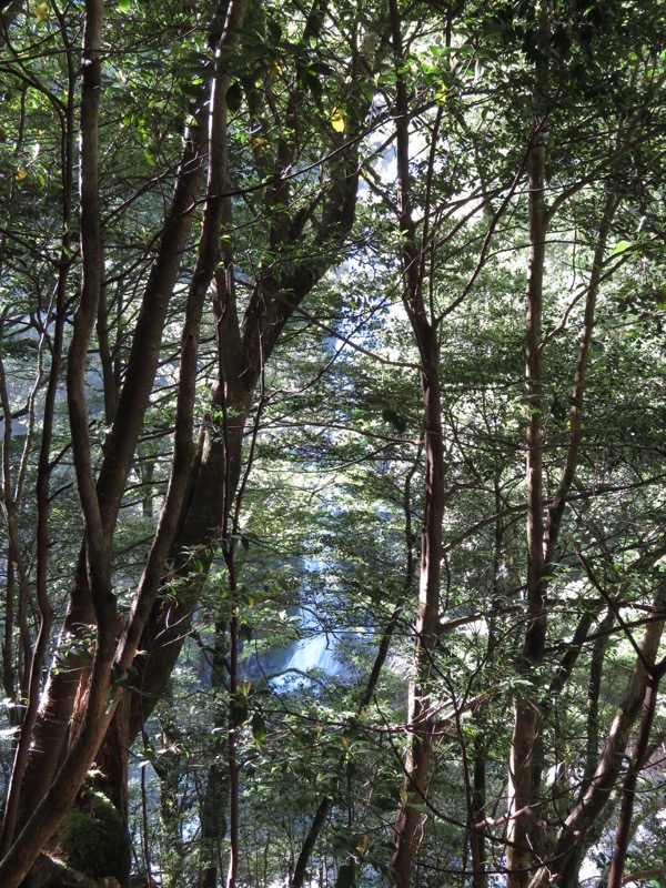 大台ヶ原〜大杉谷