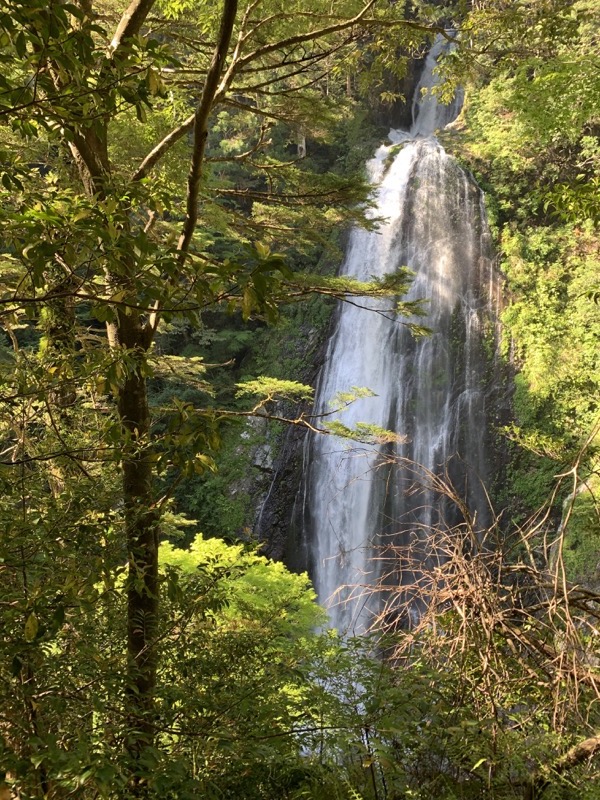 大台ヶ原〜大杉谷