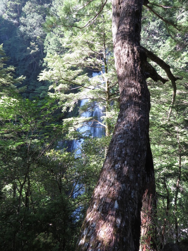 大台ヶ原〜大杉谷