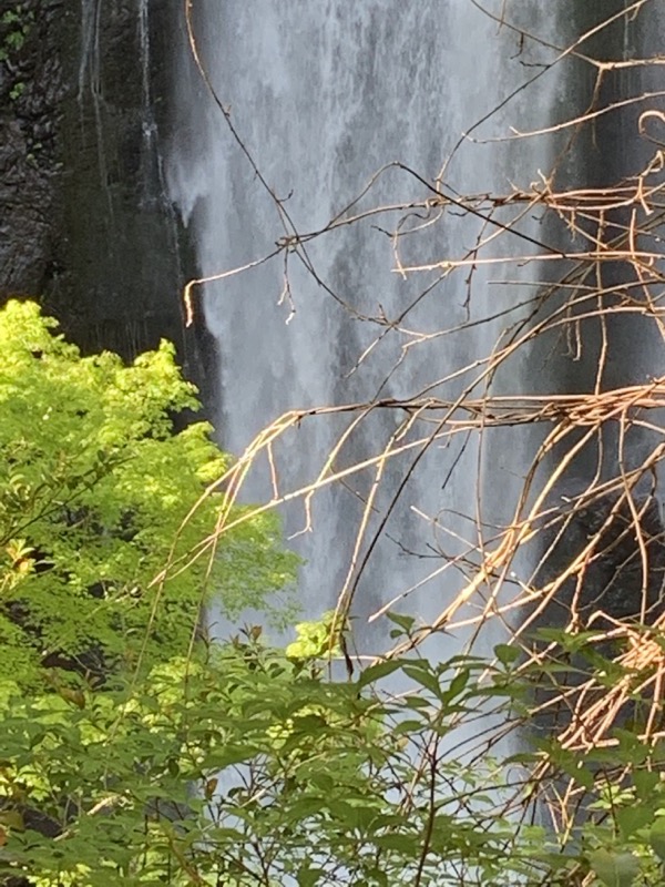 大台ヶ原〜大杉谷