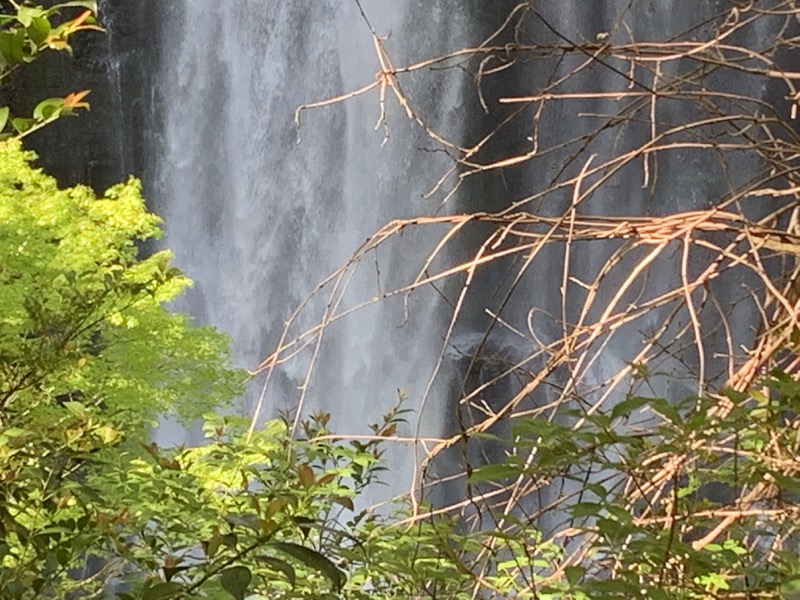 大台ヶ原〜大杉谷