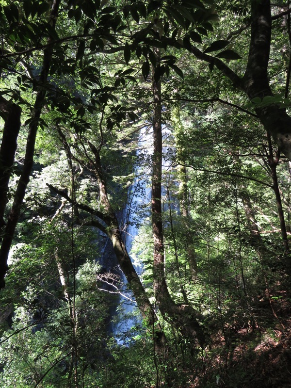 大台ヶ原〜大杉谷