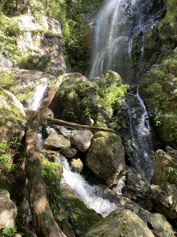 大台ヶ原〜大杉谷