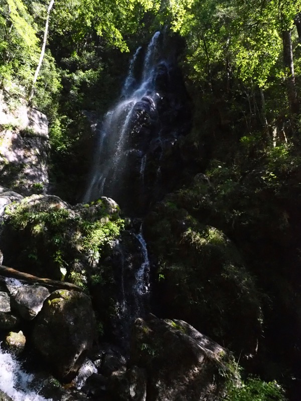 大台ヶ原〜大杉谷