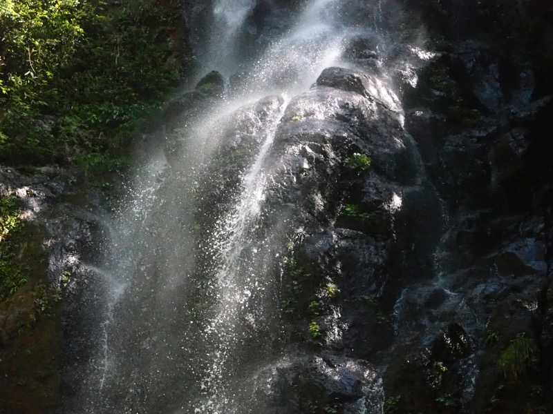 大台ヶ原〜大杉谷