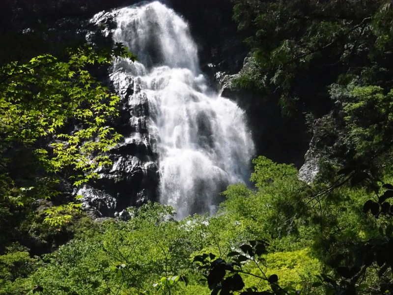 大台ヶ原〜大杉谷