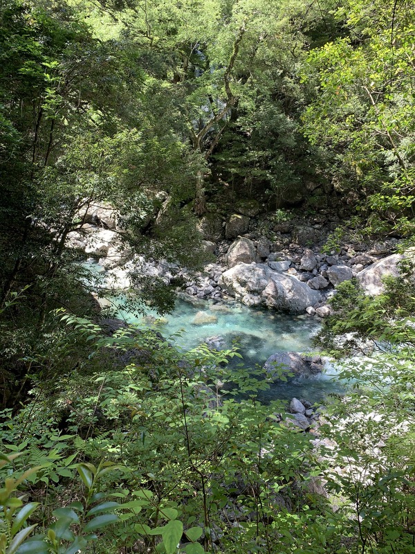 大台ヶ原〜大杉谷