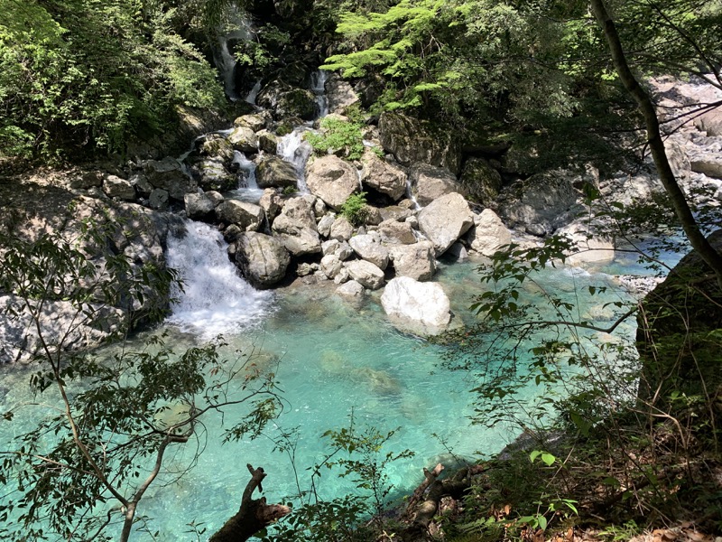 大台ヶ原〜大杉谷