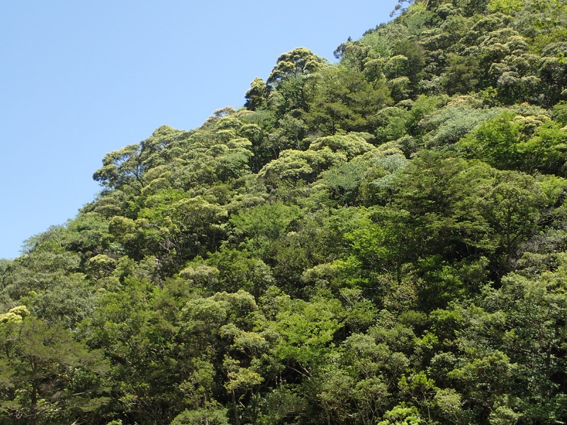 大台ヶ原〜大杉谷