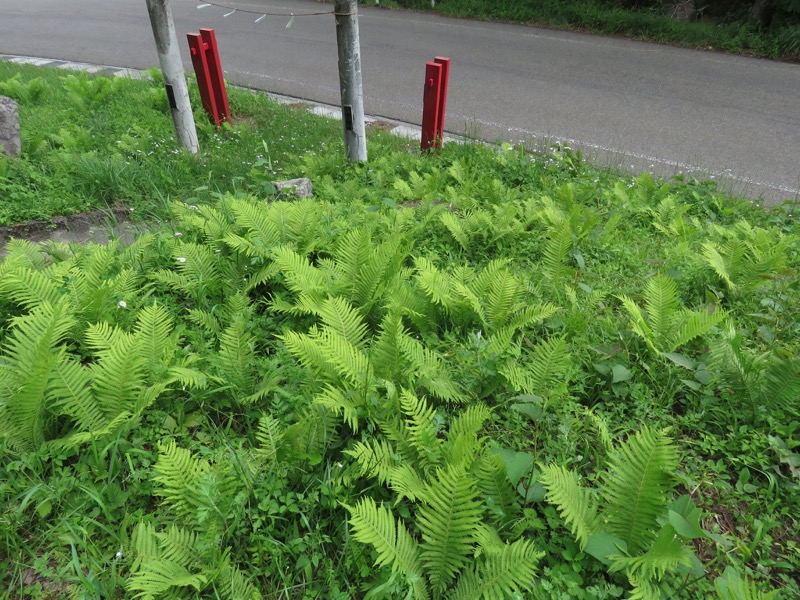 御正体山登山