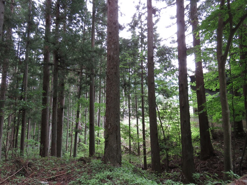 御正体山登山