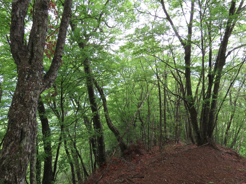 御正体山登山