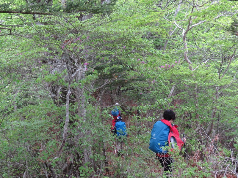 御正体山登山