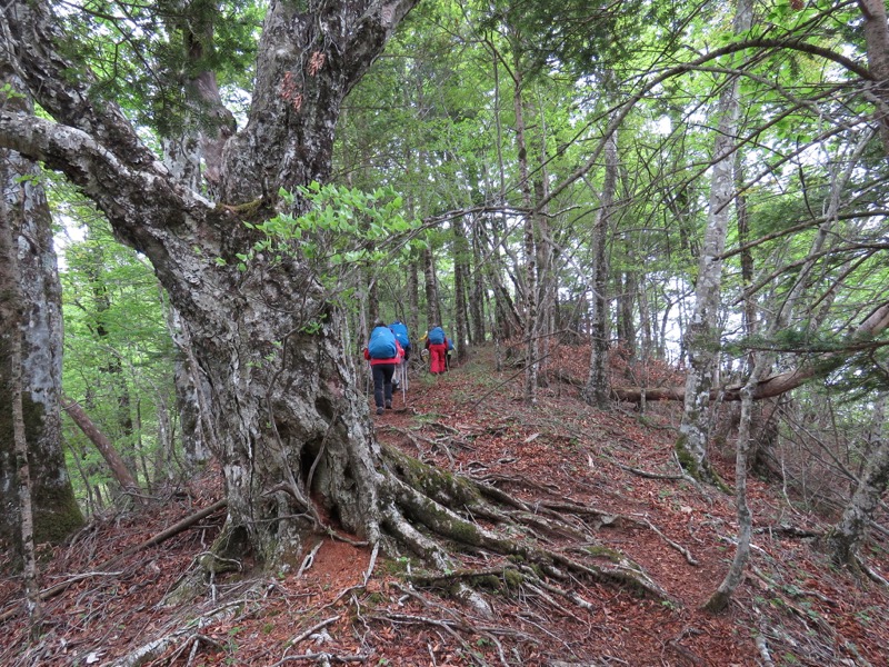 御正体山登山