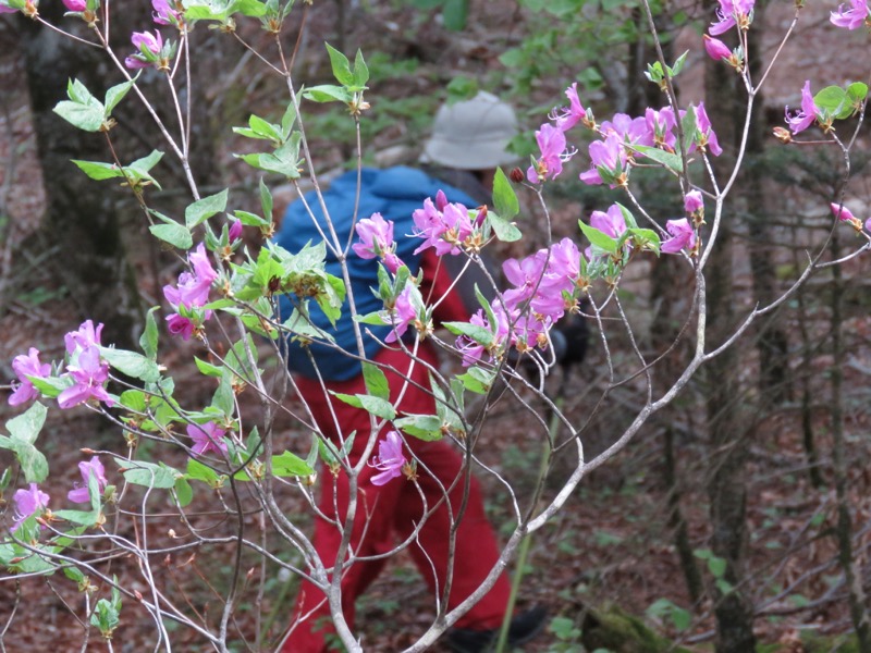 御正体山登山