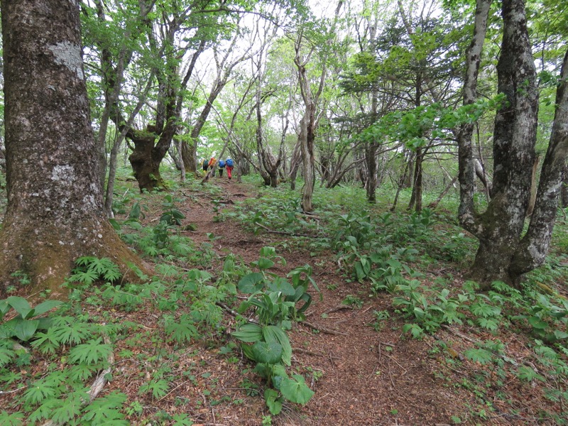 御正体山登山