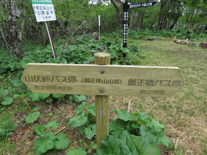 御正体山登山