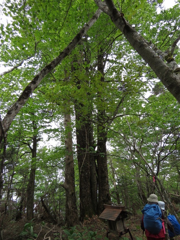 御正体山登山