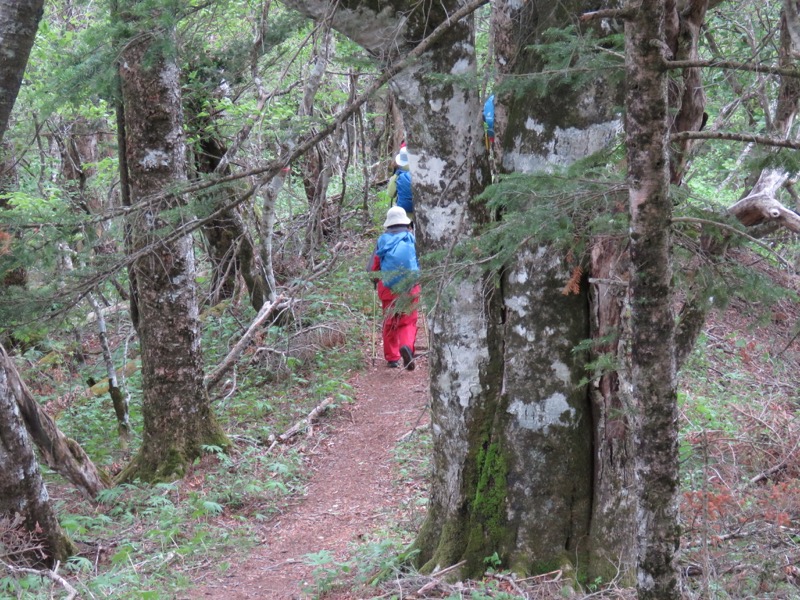 御正体山登山