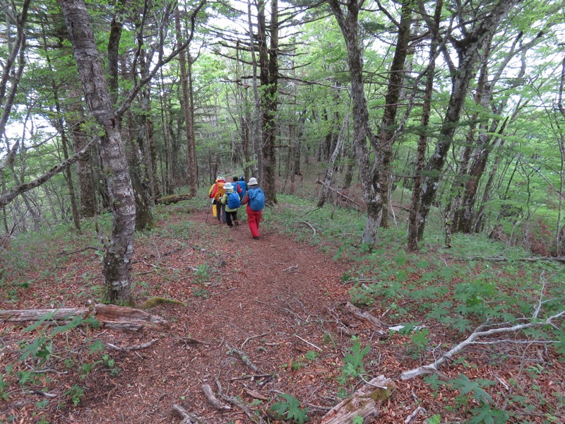 御正体山登山