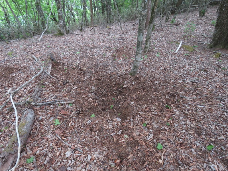 御正体山登山