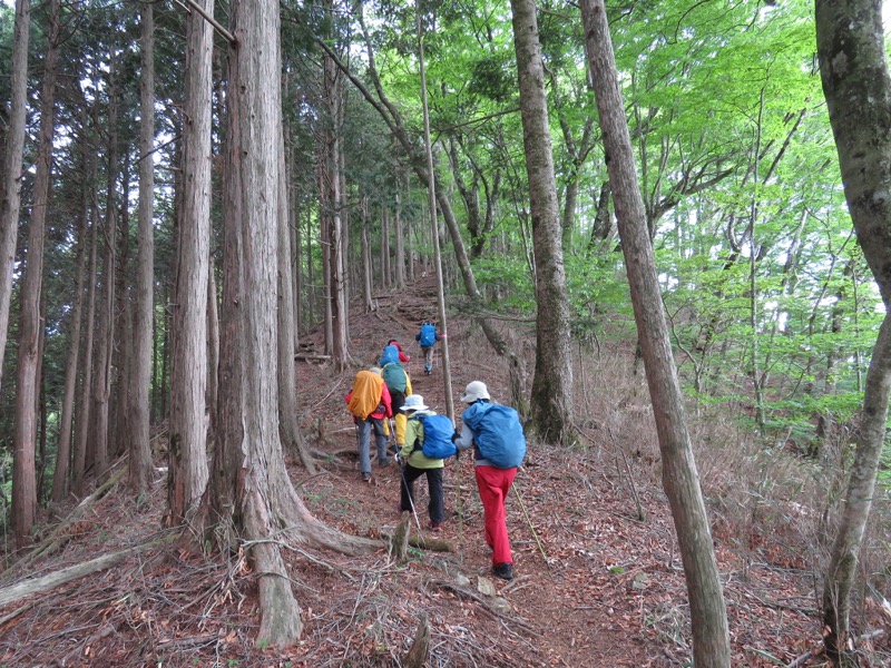 御正体山登山