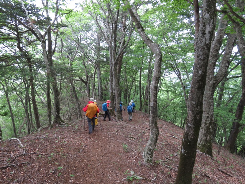 御正体山登山