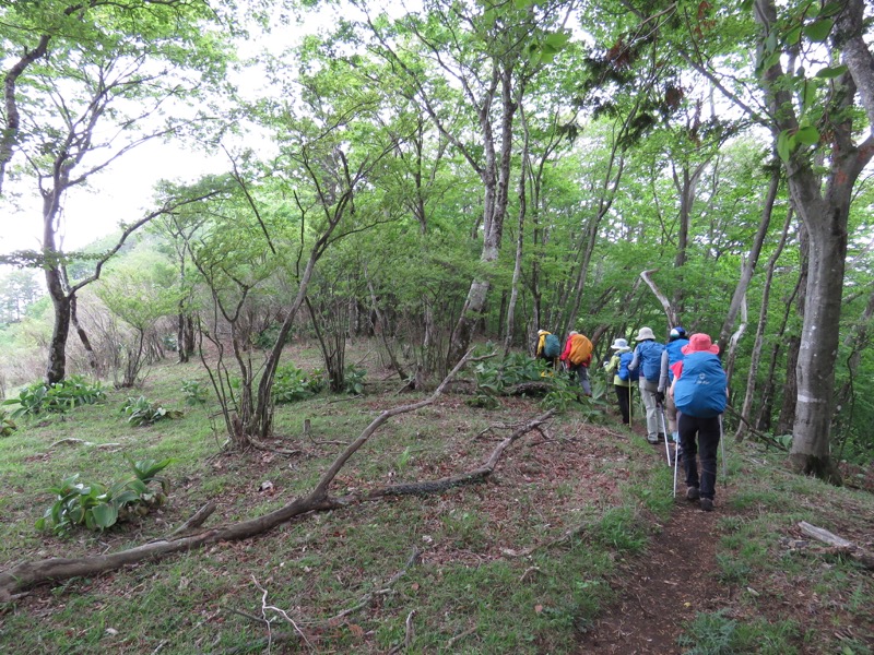 御正体山登山