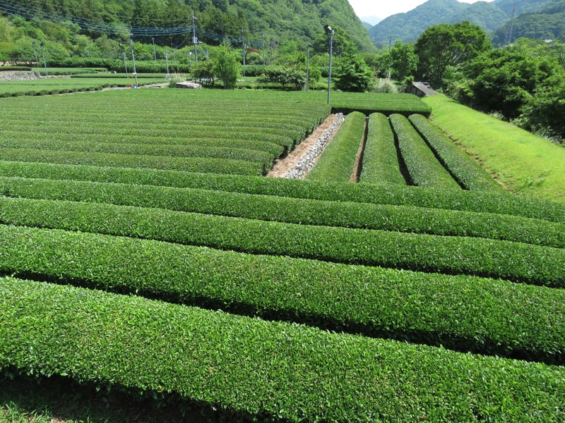 不老山登山