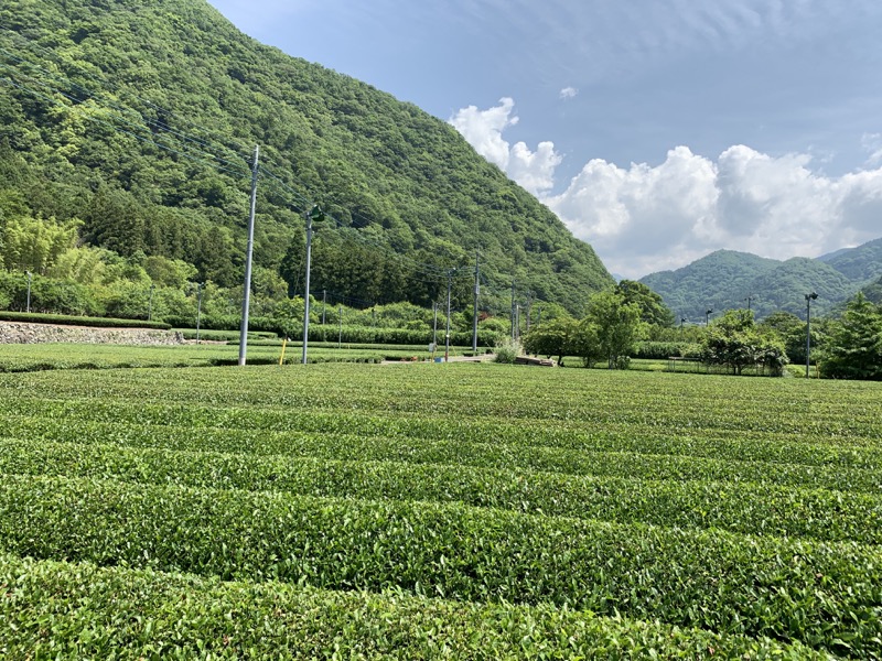 不老山登山