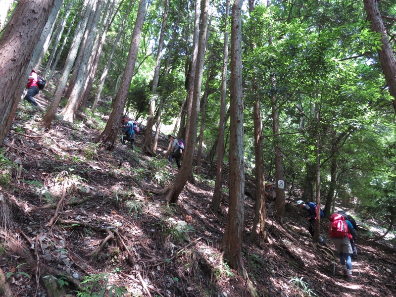 不老山登山